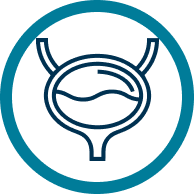 Ícone câncer<br />
de bexiga