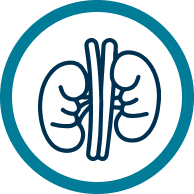 Ícone câncer<br />
de rim